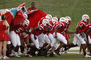 开云官网入口-国家队技战术水平提升瓶颈，国家技巧队